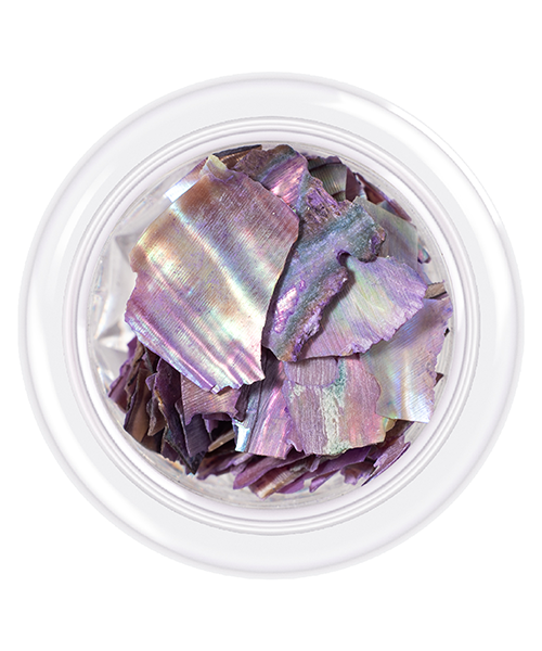 Shell For Nails № 4