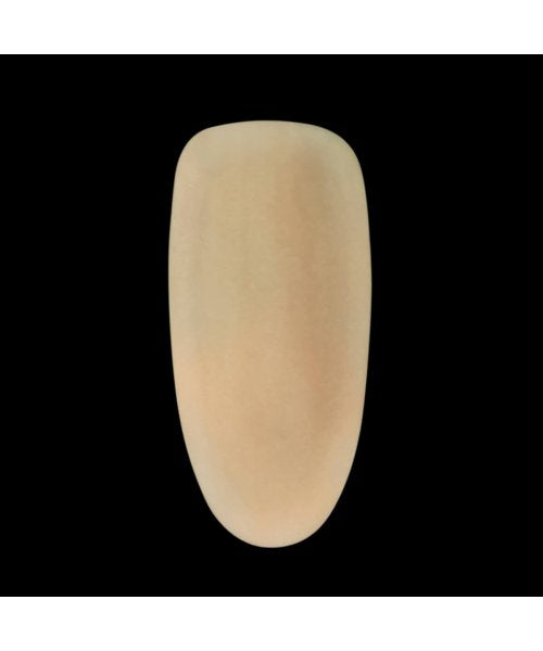 Gel Polish (Night Glow) NG 06