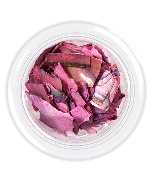 Shell For Nails № 3