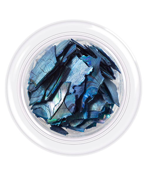 Shell For Nails № 5